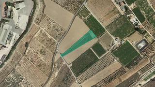 Finca rústica  Pta del tolomo. Solvia inmobiliaria  suelo rústico aspe