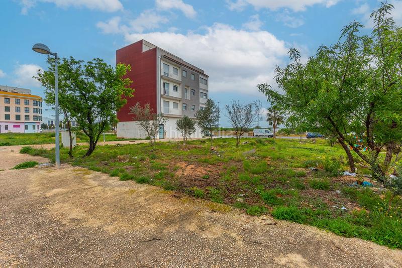 Foto 35d98542-7d88-413d-af39-fac8932760d0. Finca rústica solvia inmobiliaria solares en Torreblanca