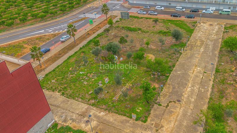 Foto 433ae446-faa8-4dbf-9580-8143fdc44f65. Finca rústica solvia inmobiliaria solares en Torreblanca