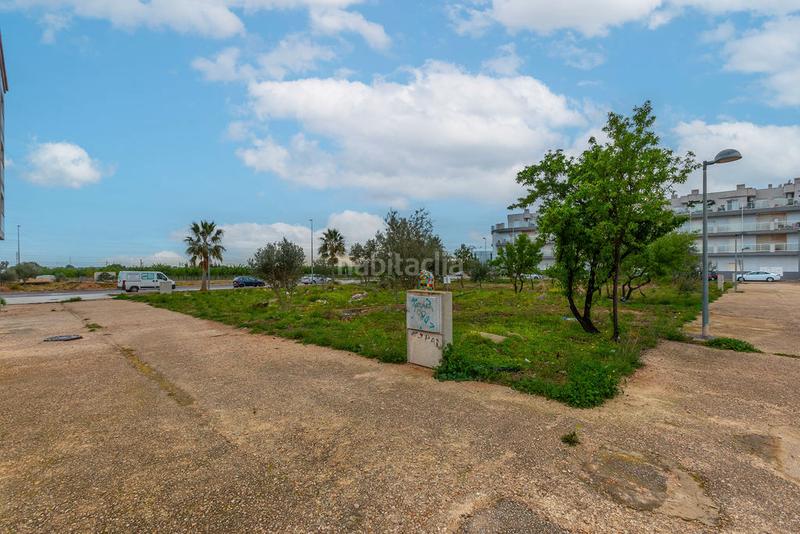Foto 82852a82-61e5-4986-a226-929e3234c326. Finca rústica solvia inmobiliaria solares en Torreblanca