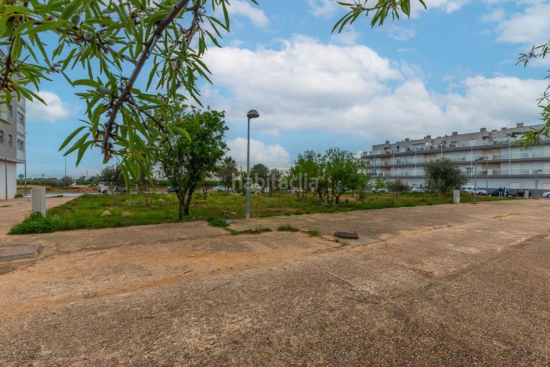 Foto c41d2d7f-87f5-4e29-98e6-dc50c3c94fad. Finca rústica solvia inmobiliaria solares en Torreblanca