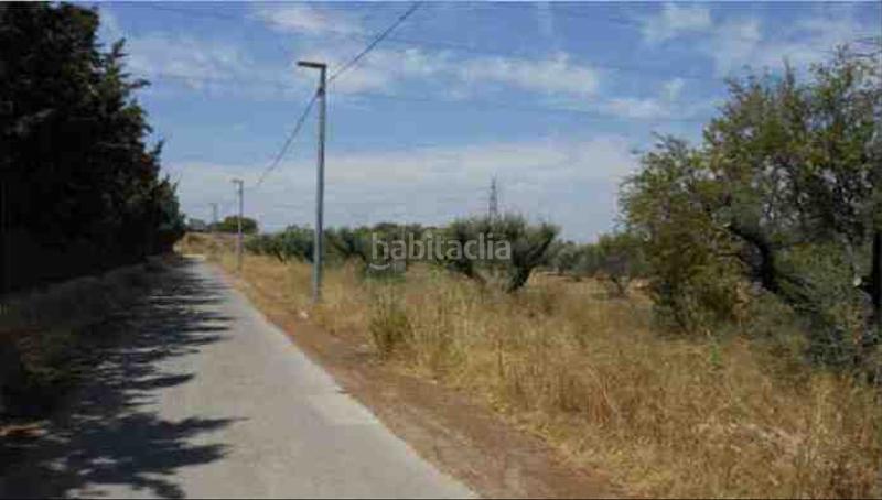 Foto 1bc656fa-6653-418f-a243-8009916f76eb. Finca rústica solvia inmobiliaria suelo urbanizable sectorizado El Palmar en Murcia