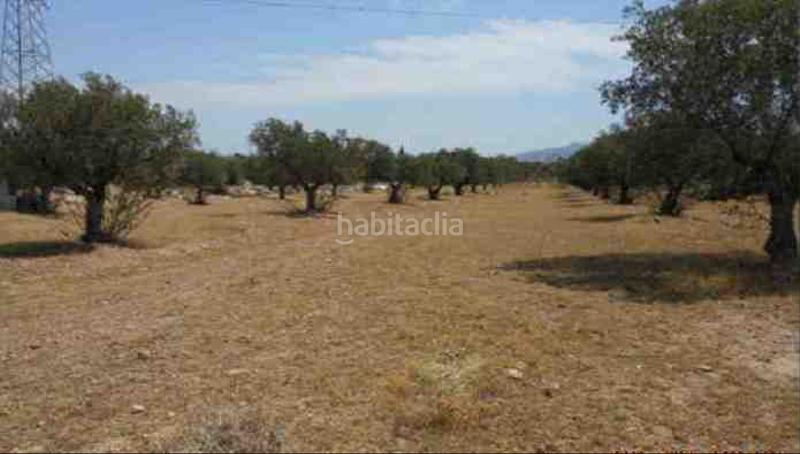 Foto 2d1f0880-2bcd-4b6f-8497-c092face8cbe. Finca rústica solvia inmobiliaria suelo urbanizable sectorizado El Palmar en Murcia