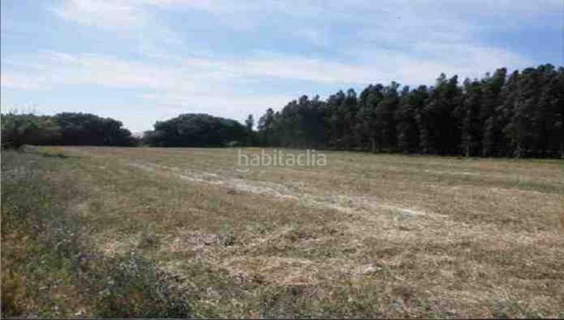 Foto cf47d2e2-2793-4bed-b44b-179a890a58dc. Finca rústica solvia inmobiliaria suelo urbanizable sectorizado en Lepe