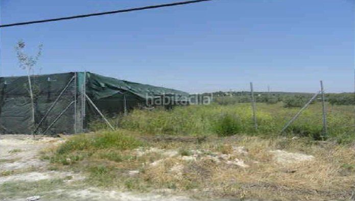 Foto cf071bb1-21f1-41fa-b906-7ff3f77ca986. Finca rústica a Úbeda