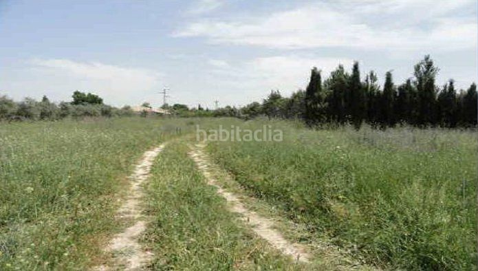 Foto cf34230e-fec4-47f5-a832-d91f37857609. Finca rústica a Úbeda