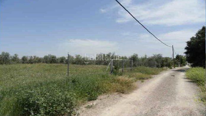 Foto f48627db-3838-469c-a5cc-981e2866131c. Finca rústica a Úbeda
