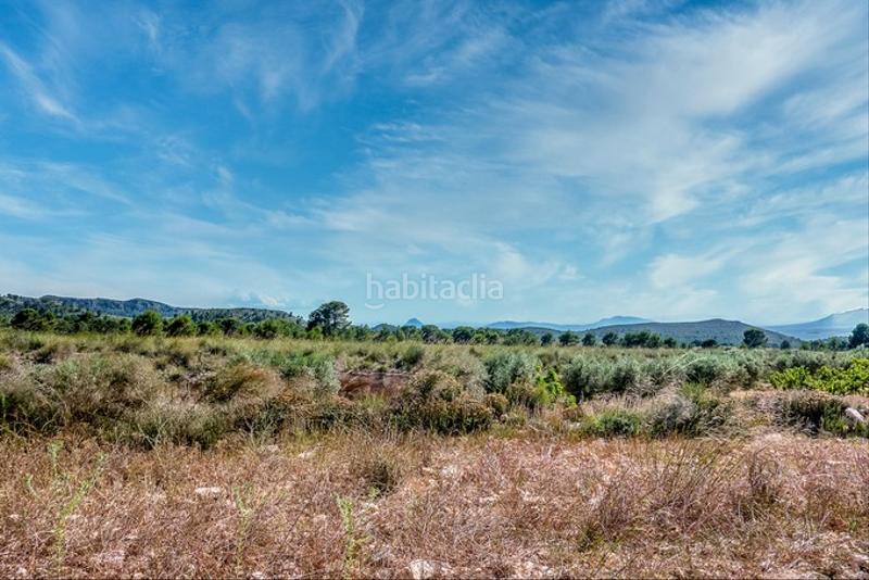 Foto 1683d5a9-4552-4991-95d0-4b908be3c70c. Finca rústica a Cieza