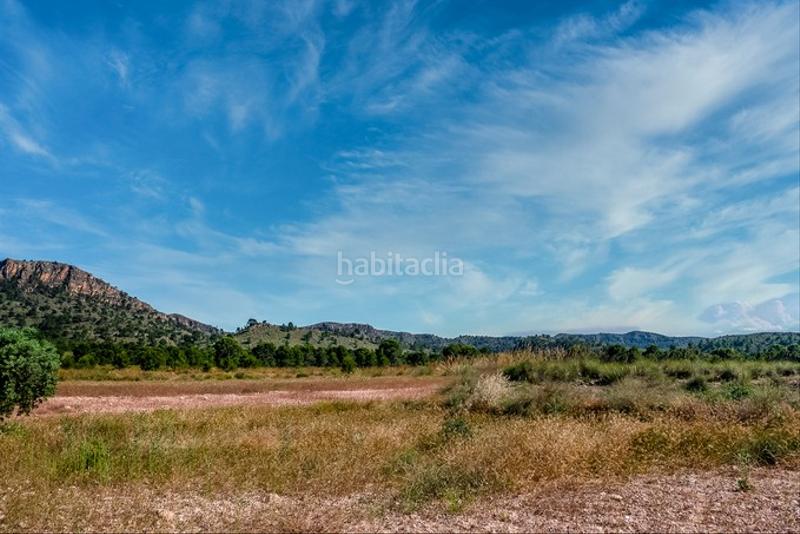 Foto 9c3b8df1-eacd-4991-a644-f93719a69991. Finca rústica a Cieza