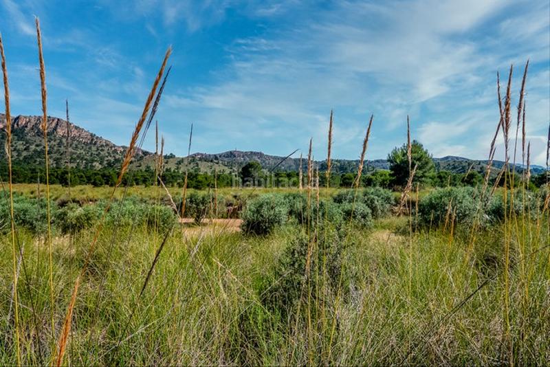 Foto ce985107-b9c6-41eb-8768-dc856b4893fd. Finca rústica a Cieza