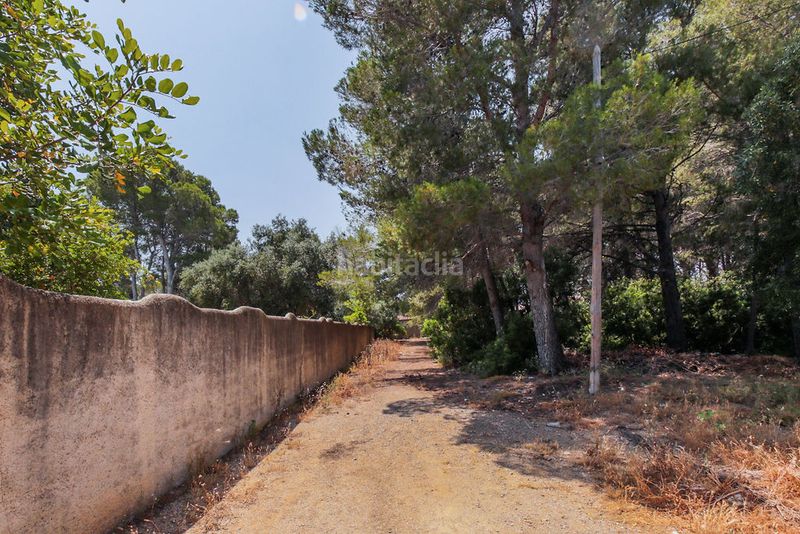 Foto 0fe906ac-79e8-4e14-a875-7350de7ab7b4. Finca rústica a El Casalot Mont-roig del Camp