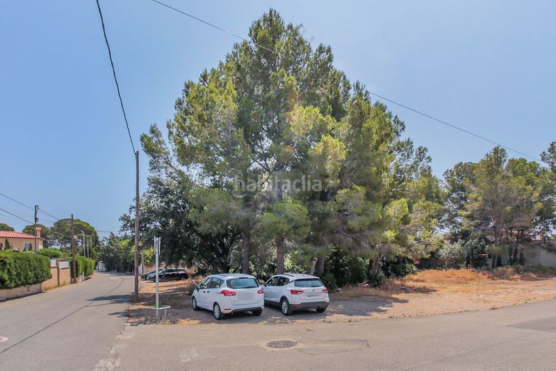 Foto 4a64295a-5d32-463c-b77c-4c6ee4ac8b17. Finca rústica a El Casalot Mont-roig del Camp