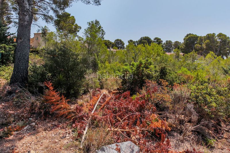 Foto 9689a0b5-7c72-4442-a93d-e1d44d890d18. Finca rústica a El Casalot Mont-roig del Camp