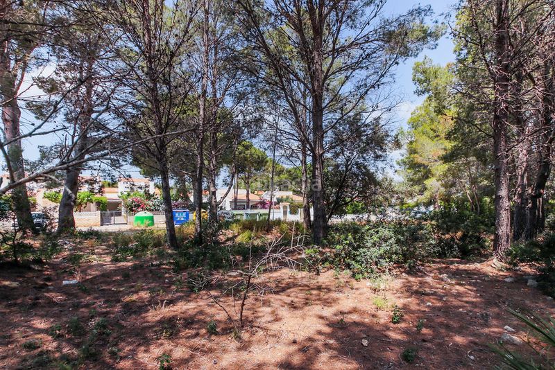 Foto dba5f5f4-ea6d-4ef2-9255-2d8b38e8976d. Finca rústica a El Casalot Mont-roig del Camp