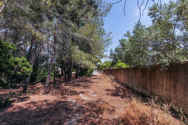 Foto ee2f0dc7-ecfe-4d2e-8944-c47a5dfa3256. Finca rústica a El Casalot Mont-roig del Camp