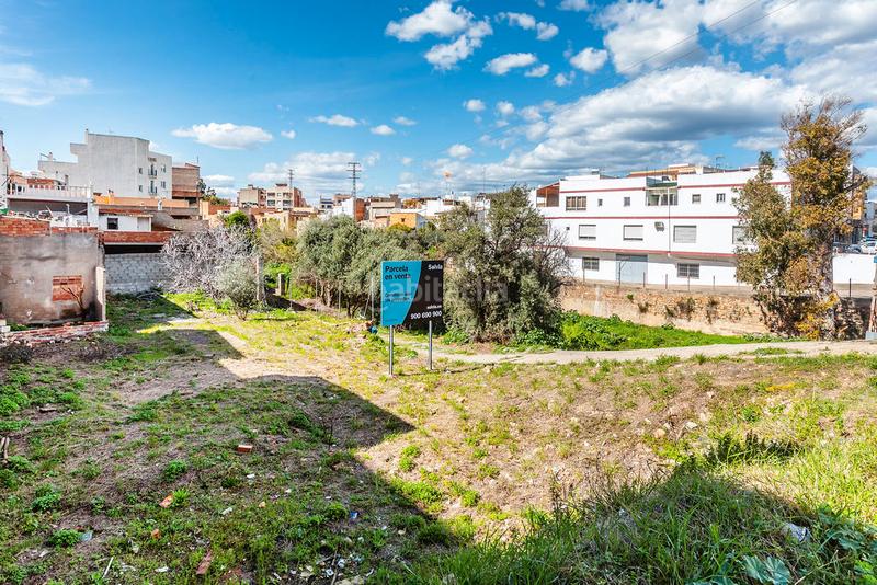 Foto 05ccb109-2c23-48d9-80ed-e126b0d80eb0. Fondo rustico in Santa Quiteria - Les Boqueres Almazora / Almassora