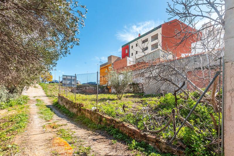 Foto 94edea77-7ea8-467e-a95f-98316257f08b. Fondo rustico in Santa Quiteria - Les Boqueres Almazora / Almassora