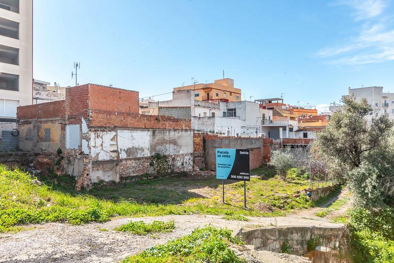 Foto 9ad717cb-0095-4305-8221-d99f9abd7657. Fondo rustico in Santa Quiteria - Les Boqueres Almazora / Almassora