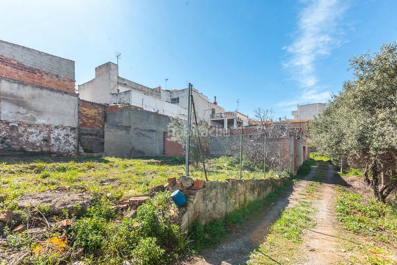 Foto a6f90fe3-3a81-4bb8-af4b-b2e926737909. Fondo rustico in Santa Quiteria - Les Boqueres Almazora / Almassora