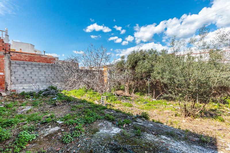 Foto b978c19d-4f1b-4738-a0f3-53fcadf7df64. Fondo rustico in Santa Quiteria - Les Boqueres Almazora / Almassora