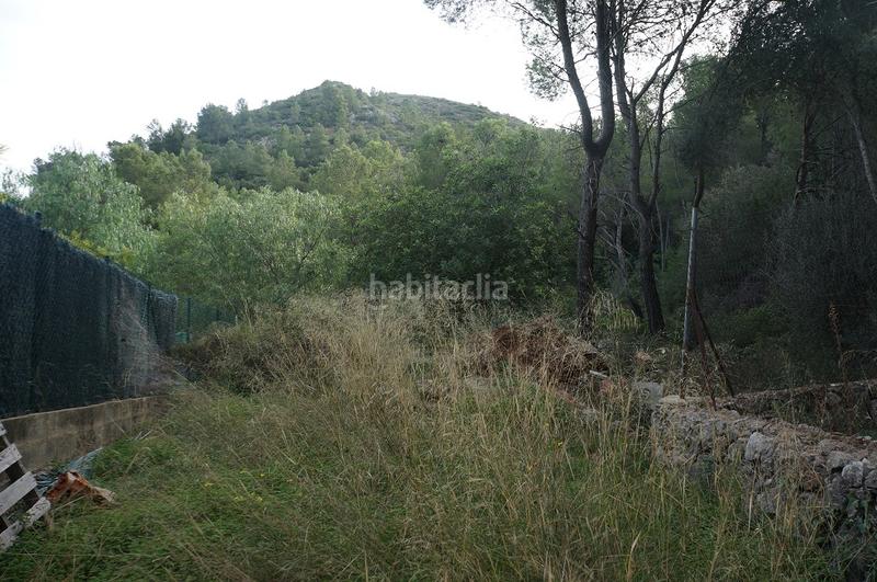 Foto 013f7548-cd48-44cd-8304-1acb19446811. Finca rústica a Benifairó de la Valldigna
