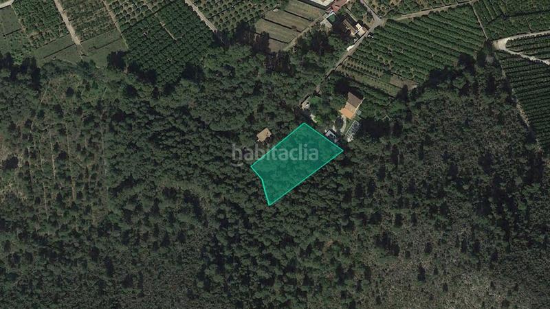 Foto 49cae960-f97d-499d-8fa2-7b640819c0c1. Finca rústica a Benifairó de la Valldigna