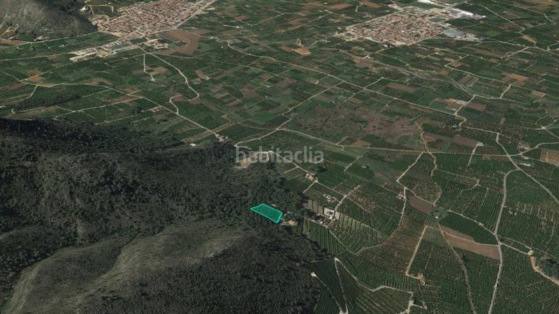 Foto e3ca4e5d-bc7b-459b-99c7-c45cfb4b7952. Finca rústica a Benifairó de la Valldigna
