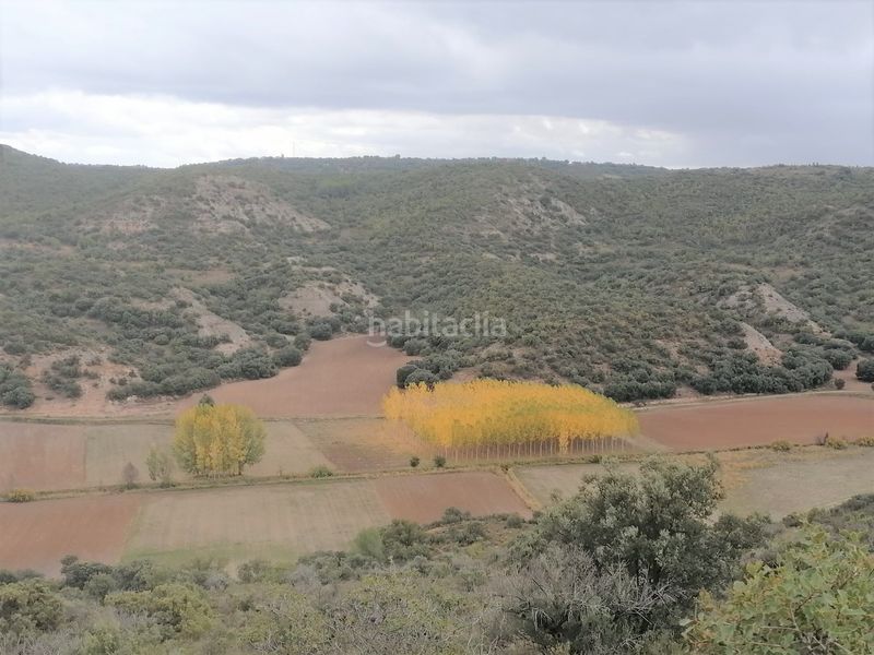 Foto 151cc7f0-1228-4ade-a118-17dce203171f. Finca rústica a Renera