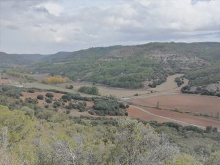 Finca rústica  Monte cutradas. Solvia inmobiliaria  suelo rústico renera