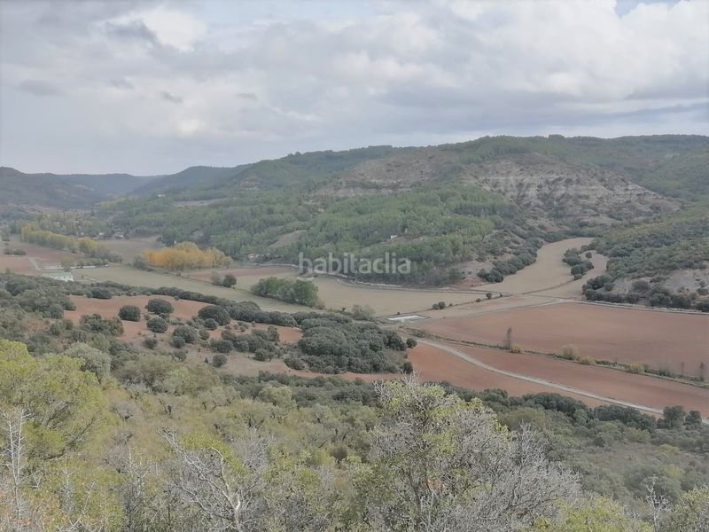 Foto 17ff6c4d-80a5-4970-80b8-bd40298e2d99. Finca rústica a Renera