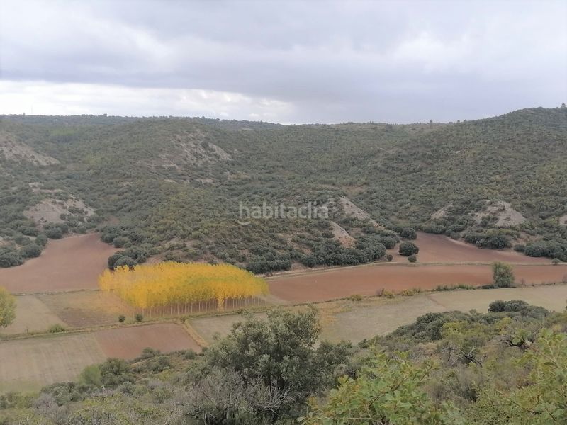 Foto 6f864550-cbe9-4e24-8d4b-584f9ae0c4ed. Finca rústica a Renera