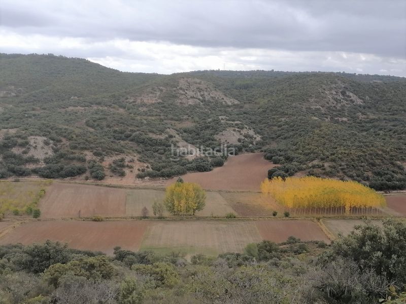 Foto e79f7829-f3ed-4b67-85ca-d05424d09a2b. Finca rústica a Renera