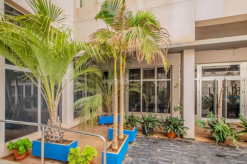 Foto d28ca878-71c4-4fec-973f-dfd1d8106e45. Alquiler local comercial solvia inmobiliaria locales en Gáldar
