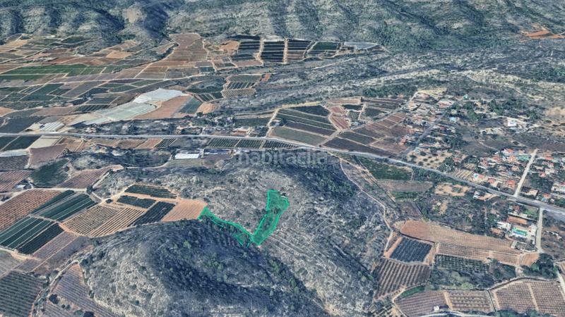 Foto 4dbe71e0-6d0d-48fb-ada0-e87484a8b14f. Finca rústica a Alfarp