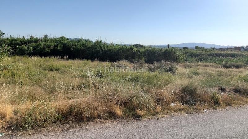 Foto d2304ce8-5738-4f27-b55b-02aae493221e. Finca rústica a Alfarp