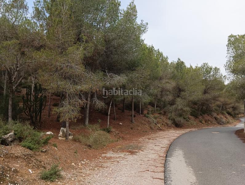 Foto 0756185c-6e0a-411f-ae46-85692e381ef0. Finca rústica solvia inmobiliaria suelo urbanizable sectorizado esparragal en Murcia