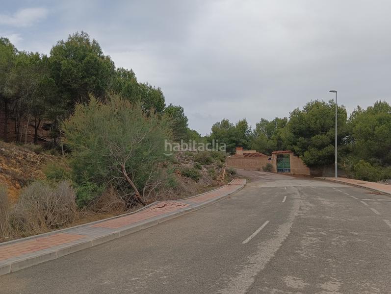 Foto 0758a5a7-0196-42dc-8aa3-2c66a358d0fe. Finca rústica solvia inmobiliaria suelo urbanizable sectorizado esparragal en Murcia