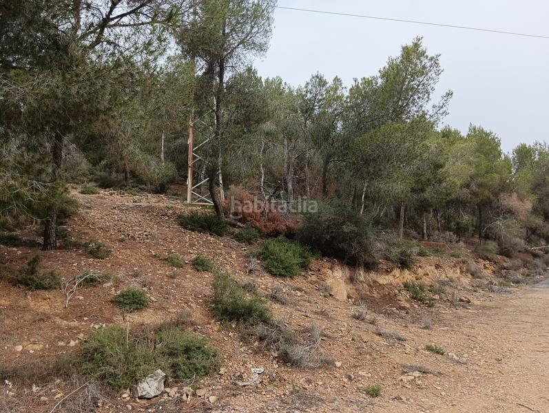 Foto 161ed017-f75f-4dc6-8e88-06bc4022c22a. Finca rústica solvia inmobiliaria suelo urbanizable sectorizado esparragal en Murcia