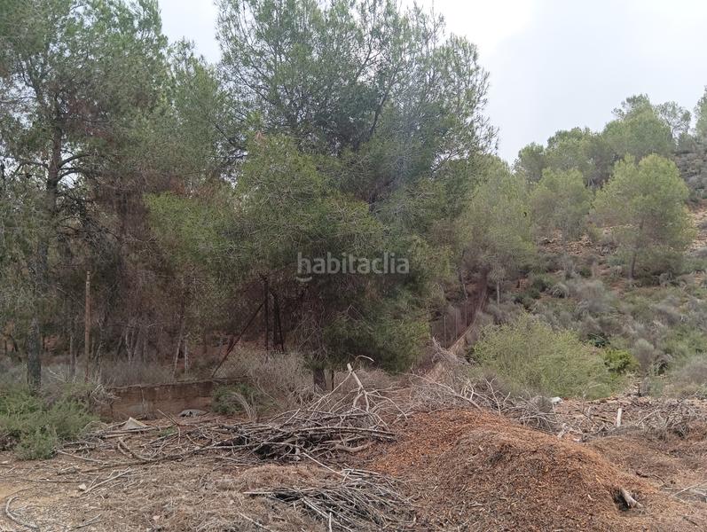 Foto 16992ce9-9af5-4dcf-924b-32a01122aa6c. Finca rústica solvia inmobiliaria suelo urbanizable sectorizado esparragal en Murcia