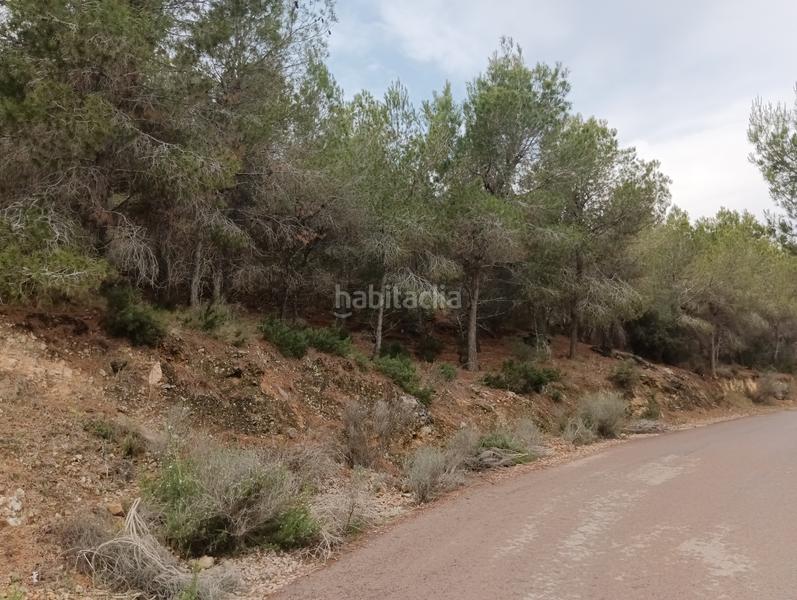 Foto 3ae9ad65-faf6-404c-87ff-9fd69a97ab09. Finca rústica solvia inmobiliaria suelo urbanizable sectorizado esparragal en Murcia