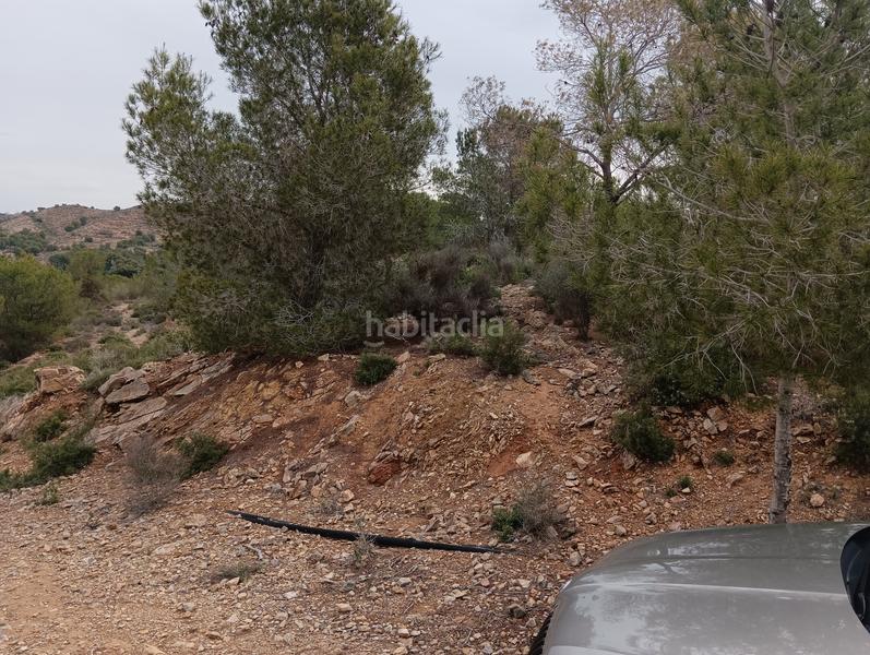 Foto 64561e36-6ffb-4f7c-93a7-33c12566846c. Finca rústica solvia inmobiliaria suelo urbanizable sectorizado esparragal en Murcia