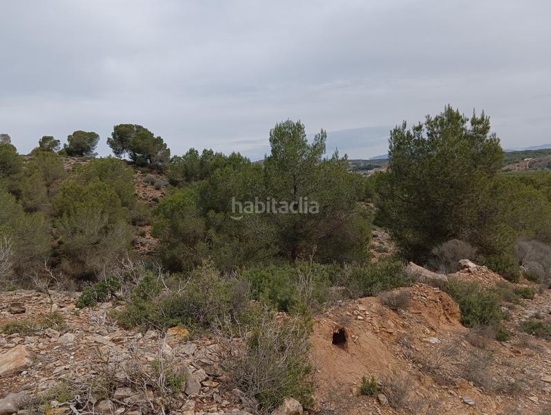 Foto 6748b890-c3db-4f0e-8603-204f95081088. Finca rústica solvia inmobiliaria suelo urbanizable sectorizado esparragal en Murcia