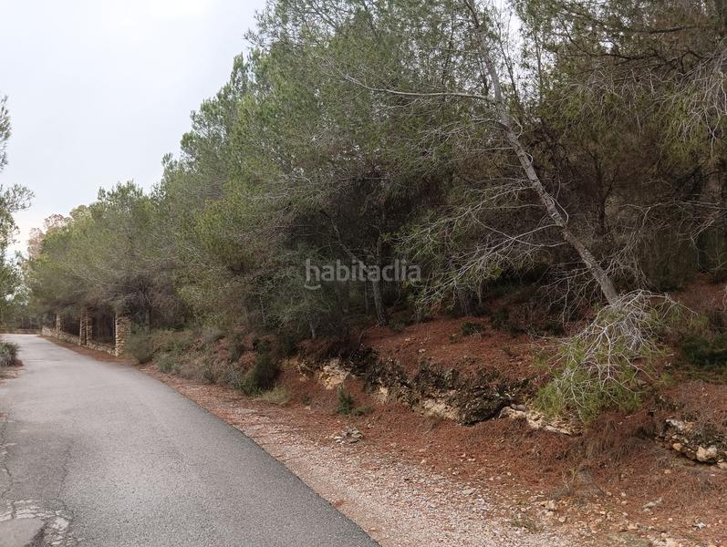 Foto 6acc94cc-0859-43c8-bb87-c189ff135517. Finca rústica solvia inmobiliaria suelo urbanizable sectorizado esparragal en Murcia