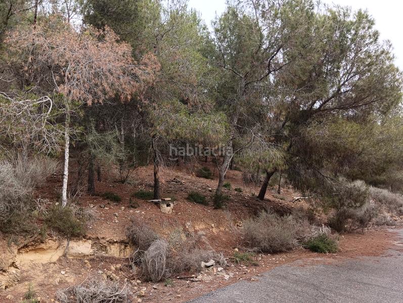 Foto 6c23f689-a0a3-45b5-826e-b1e7e42f4639. Finca rústica solvia inmobiliaria suelo urbanizable sectorizado esparragal en Murcia