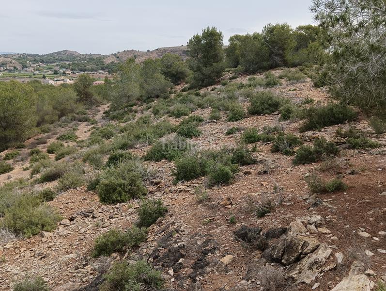 Foto 72190498-2613-4b49-b48f-3d5e45572e70. Finca rústica solvia inmobiliaria suelo urbanizable sectorizado esparragal en Murcia