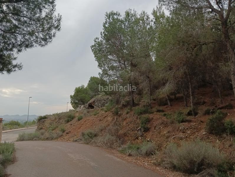 Foto 77bb31e1-165a-42b1-8e6e-e70aa1fc5530. Finca rústica solvia inmobiliaria suelo urbanizable sectorizado esparragal en Murcia