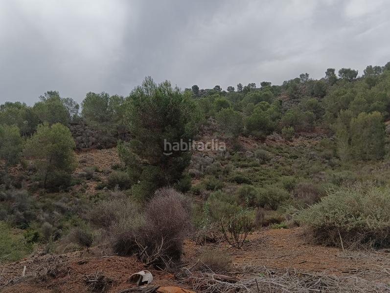 Foto 7b020a86-c50e-4116-9ac5-0f564b9bfe5e. Finca rústica solvia inmobiliaria suelo urbanizable sectorizado esparragal en Murcia