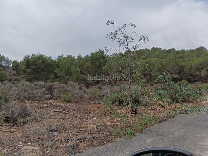 Foto 853d0320-c437-49a9-86de-0fc0cf9d85d4. Finca rústica solvia inmobiliaria suelo urbanizable sectorizado esparragal en Murcia