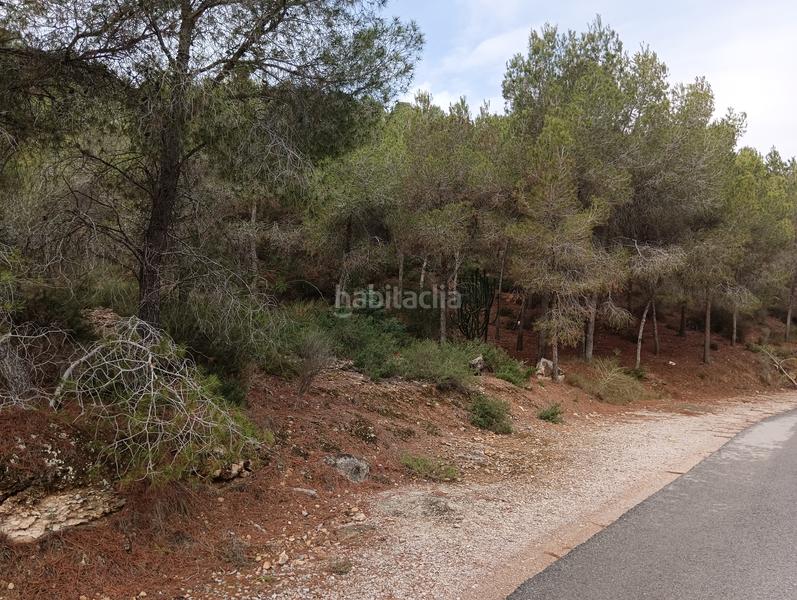 Foto 8bc315fd-18ff-440b-aeb3-64ebf79ee43e. Finca rústica solvia inmobiliaria suelo urbanizable sectorizado esparragal en Murcia