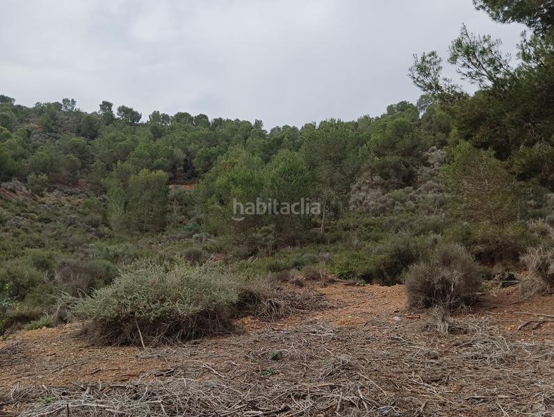 Foto 8cdb4728-04c2-45a5-83e9-325e3af013b6. Finca rústica solvia inmobiliaria suelo urbanizable sectorizado esparragal en Murcia